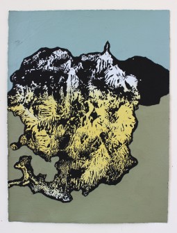 Will Hutnick_Landslide No.2_15.75 x 11.75__acrylic and screenprint on paper_2014